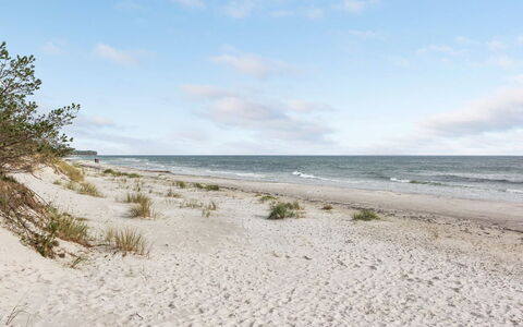 Fastulf - 300M from the Sea: Græs, Træ, Landdistrikt, Busk, Sommerhus, Tag, Almindeligt, Land Lot, Hjem, Bunddække