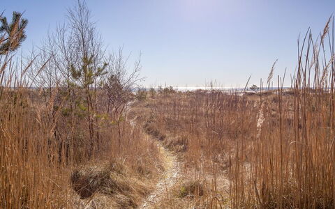 Unto - 25M from the Sea: Træ, Hus, Sommerhus, Hjem, Tag, Landdistrikt, Sidespor, Bjælkehytte, Garden Bygninger, Hårdttræ