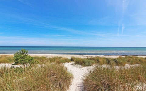 Læff - 50M from the Sea: Træ, Hus, Sommerhus, Hjem, Tag, Landdistrikt, Sidespor, Bjælkehytte, Garden Bygninger, Hårdttræ