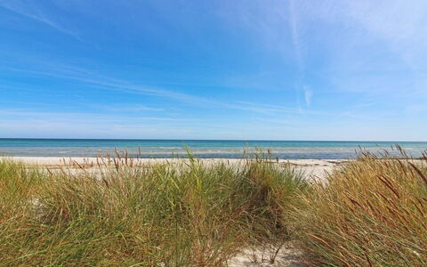 Læff - 50M from the Sea: Træ, Hus, Sommerhus, Hjem, Tag, Landdistrikt, Sidespor, Bjælkehytte, Garden Bygninger, Hårdttræ