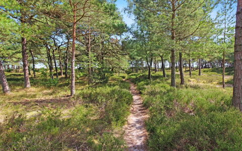 Læff - 50M from the Sea: Træ, Hus, Sommerhus, Hjem, Tag, Landdistrikt, Sidespor, Bjælkehytte, Garden Bygninger, Hårdttræ