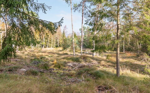 Jaarne - 800M from the Sea: Træ, Hus, Sommerhus, Hjem, Tag, Landdistrikt, Sidespor, Bjælkehytte, Garden Bygninger, Hårdttræ
