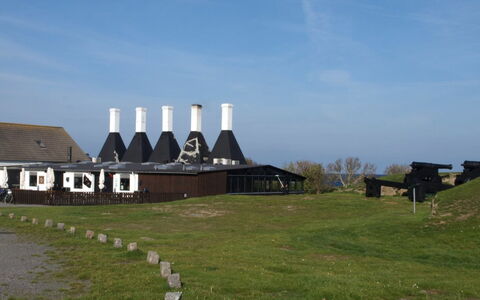 Skoge - 500M from the Sea: Græs, Busk, Hus, Have, Hjem, Sommerhus, Land Lot, Lawn, Bunddække