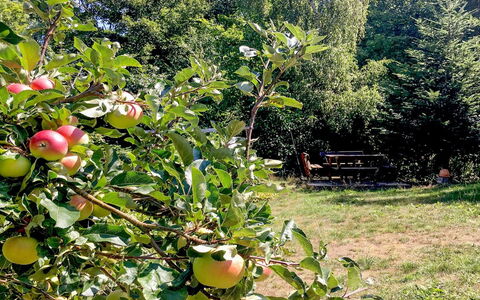 Hannele - 200M from the Sea: Tag, Hus, Land Lot, Hjem, Sommerhus, Estate, Garden Bygninger, Skygge, Bjælkehytte, Landscaping