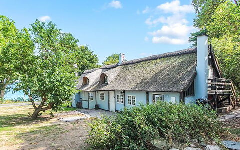 Nyyrikki - 100M from the Sea: Møbel, Indretning, Stol, Gulvbelægning, Bord, Udvej, Etage, Loft, Værelse, Eco Hotel