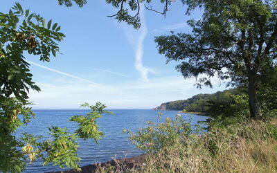 Alfred - 25M from the Sea