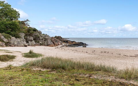 Tjelle - 300M from the Sea: Græs, Hus, Tag, Sommerhus, Hjem, Busk, Stuehus, Land Lot, Landdistrikt
