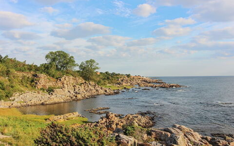 Thorsten - 500M from the Sea: Træ, Hus, Sommerhus, Hjem, Tag, Landdistrikt, Sidespor, Bjælkehytte, Garden Bygninger, Hårdttræ