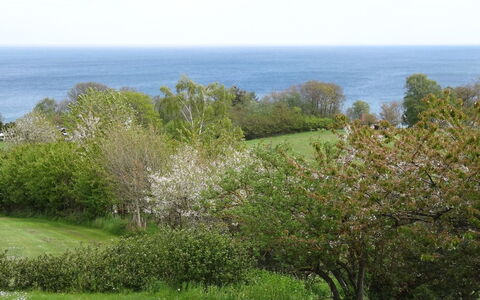 Iikka - 300M from the Sea: Træ, Hus, Sommerhus, Hjem, Tag, Landdistrikt, Sidespor, Bjælkehytte, Garden Bygninger, Hårdttræ