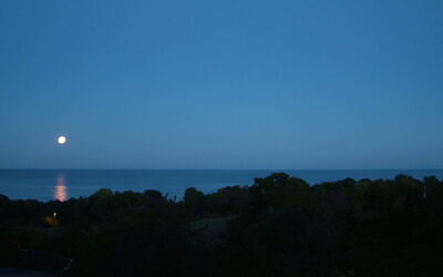 Iikka - 300M from the Sea