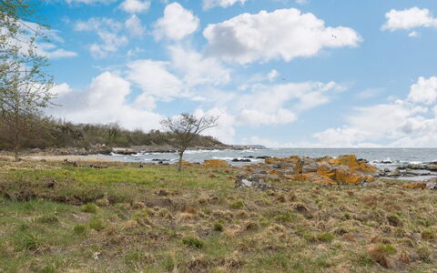 Ensio - 150M from the Sea: Himmel, Blå, Sky, Vegetationen, Rots, Økoregion, Horisont, Kyst, Plantesamfund, Græs-