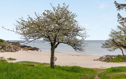 Hermann - 100M from the Sea: Fritid, Reklame, Parkere, Banner, Skilt, Sti