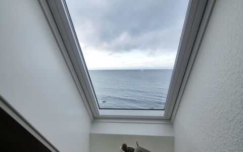 Uschi - 15M from the Sea: Bygning, Hus, Vindue, Hjem, Tag, Boligområde, Busk, Sommerhus, Land Lot