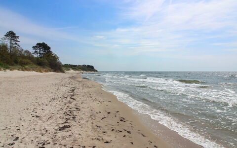 Gonne - 350M from the Sea: Strand, Kyst, Kyst, Hav, Coastal Og Oceaniske Landskabsformer, Sand, Ocean, Bølge, Vind Wave