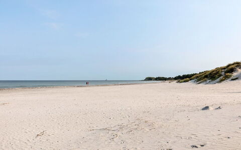 Widerik - 260M from the Sea: Græs, Hus, Tag, Hjem, Sommerhus, Busk, Land Lot, Landdistrikt, Stuehus, Bunddække