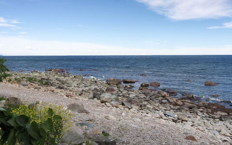 Zina - 25M from the Sea: Møbel, Indretning, Stol, Gulvbelægning, Bord, Udvej, Etage, Loft, Værelse, Eco Hotel
