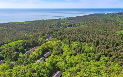 Verner - 500M from the Sea: Træ, Hav, Sky, Coastal Og Oceaniske Landskabsformer, Dæk, Ocean, Planke, Boardwalk, Kyst, Hårdttræ