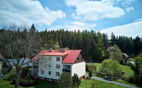 Harrachov 582: Træ, Vindue, Hjem, Hus, Sommerhus, Lawn, Estate, Stuehus, Gård, Lærk