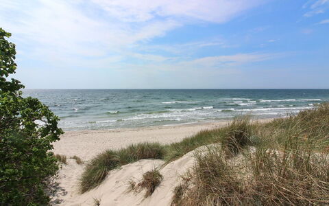 Nuka - 800M from the Sea: Træ, Hav, Sky, Coastal Og Oceaniske Landskabsformer, Dæk, Ocean, Planke, Boardwalk, Kyst, Hårdttræ