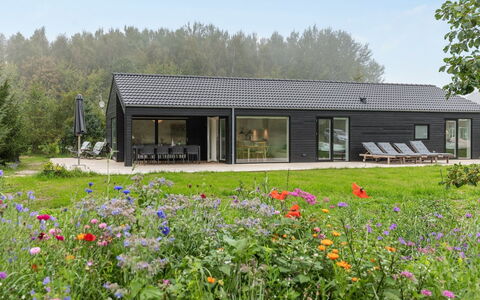Iivo - 350M from the Sea: Træ, Hus, Sommerhus, Hjem, Tag, Landdistrikt, Sidespor, Bjælkehytte, Garden Bygninger, Hårdttræ