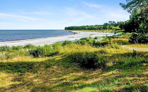 Anemette - 100M from the Sea: Blå, Vand, Krop Af Vand, Kyst, Naturligt Miljø, Grøn, Coastal Og Oceaniske Landskabsformer, Horisont, Kyst, Naturlige Landskab