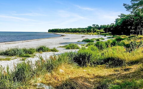 Anemette - 100M from the Sea: Vand, Kyst, Kyst, Coastal Og Oceaniske Landskabsformer, Strand, Hav, Bank, Ocean, Bugt, Sand