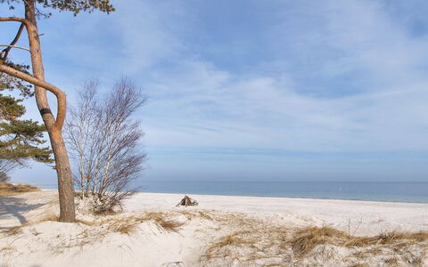 Anemette - 100M from the Sea: Himmel, Blå, Naturligt Miljø, Afdeling, Træ, Vinter, Sand, Fryser, Strand, Kvist
