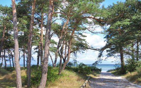 Ignat - 175M from the Sea: Træ, Hus, Sommerhus, Hjem, Tag, Landdistrikt, Sidespor, Bjælkehytte, Garden Bygninger, Hårdttræ