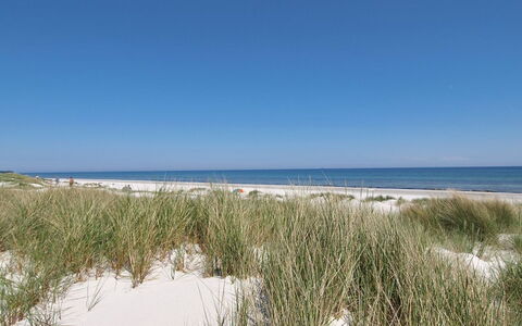 Lisa - 650M from the Sea: Græs, Hus, Tag, Sommerhus, Hjem, Busk, Stuehus, Land Lot, Landdistrikt