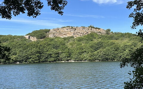 Ramona - 10M from the Sea: Sommerhus, Have, Sidespor, Garden Bygninger, Skygge, Gård, Backyard, Lawn, Stuehus, Landscaping