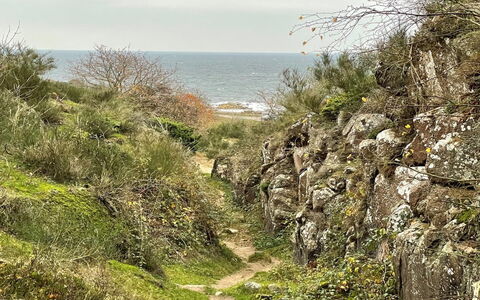 Ramona - 10M from the Sea: Træ, Hus, Sommerhus, Hjem, Tag, Landdistrikt, Sidespor, Bjælkehytte, Garden Bygninger, Hårdttræ