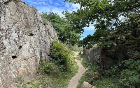 Ramona - 10M from the Sea: Træ, Hus, Sommerhus, Hjem, Tag, Landdistrikt, Sidespor, Bjælkehytte, Garden Bygninger, Hårdttræ