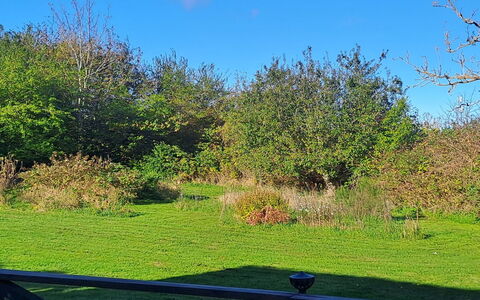 Amlethus - 375M from the Sea: Tag, Hus, Hjem, Sommerhus, Sidespor, Estate, Indkørsel, Garden Bygninger, Gård, Skur
