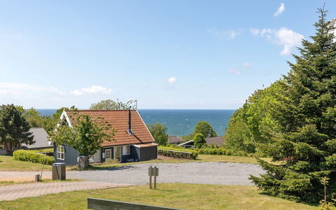Lahja - 400M from the Sea: Vegetationen, Busk, Forår, Sommerhus, Have, Skygge, Backyard, Gård, Stol