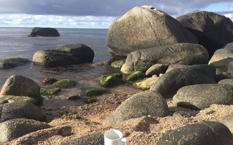 Asgot - 15M from the Sea: Blå, Sommerhus, Hus, Hjem, Stuehus, Estate, Sidespor