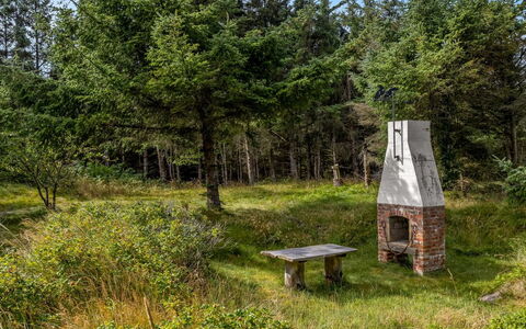Matilda - 375M from the Sea: Græs, Træ, Naturligt Miljø, Busk, Græs-, Land Lot, Plantesamfund, Bagagerum