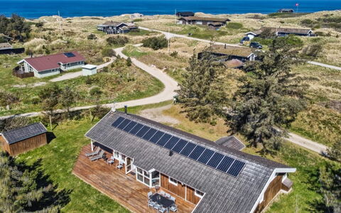 Aleta - 500M from the Sea: Plantesamfund, Sollys, Urteagtig Plante, Have, Plantation, Landbrug, Farm