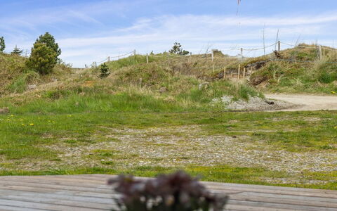 Aleta - 500M from the Sea: Plantesamfund, Sollys, Urteagtig Plante, Have, Plantation, Landbrug, Farm