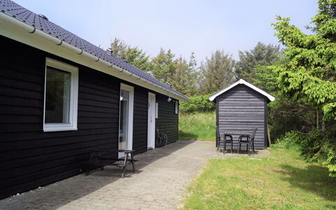 Aved - 350M from the Sea: Plantesamfund, Sollys, Urteagtig Plante, Have, Plantation, Landbrug, Farm