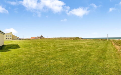 Salka - 150M from the Sea: Plantesamfund, Sollys, Urteagtig Plante, Have, Plantation, Landbrug, Farm