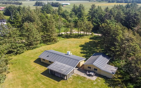Biergh - 600M from the Sea: Plantesamfund, Sollys, Urteagtig Plante, Have, Plantation, Landbrug, Farm