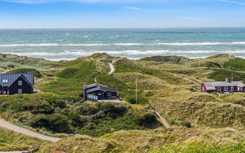 Alyssa - 300M from the Sea: Plantesamfund, Sollys, Urteagtig Plante, Have, Plantation, Landbrug, Farm