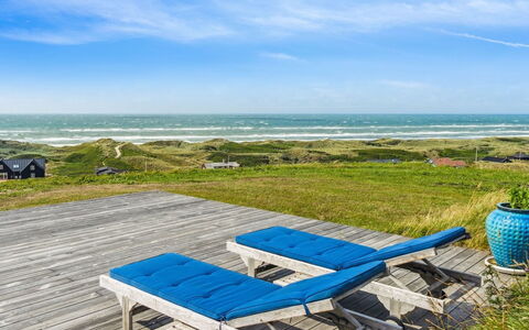 Alyssa - 300M from the Sea: Plantesamfund, Sollys, Urteagtig Plante, Have, Plantation, Landbrug, Farm