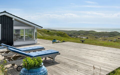 Alyssa - 300M from the Sea: Plantesamfund, Sollys, Urteagtig Plante, Have, Plantation, Landbrug, Farm