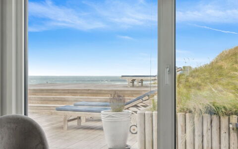 Alyssa - 300M from the Sea: Plantesamfund, Sollys, Urteagtig Plante, Have, Plantation, Landbrug, Farm
