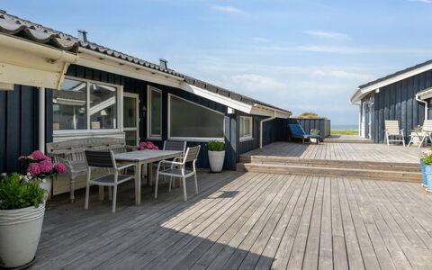 Alyssa - 300M from the Sea: Plantesamfund, Sollys, Urteagtig Plante, Have, Plantation, Landbrug, Farm