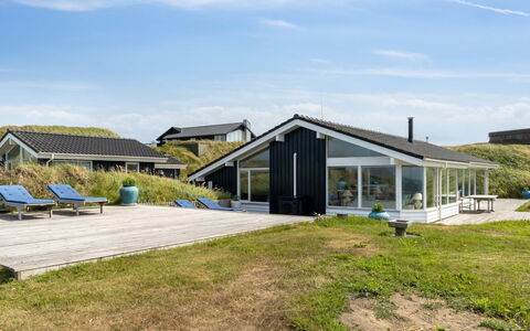 Alyssa - 300M from the Sea: Plantesamfund, Sollys, Urteagtig Plante, Have, Plantation, Landbrug, Farm