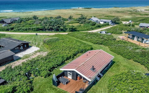Myriam - 200M from the Sea: Plantesamfund, Sollys, Urteagtig Plante, Have, Plantation, Landbrug, Farm