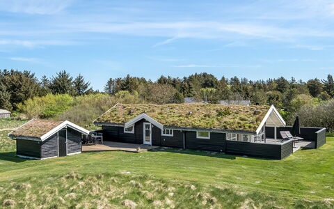 Eddi - 550M from the Sea: Vegetationen, Busk, Forår, Sommerhus, Have, Skygge, Backyard, Gård, Stol