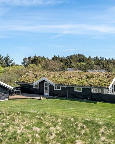 Eddi - 550M from the Sea